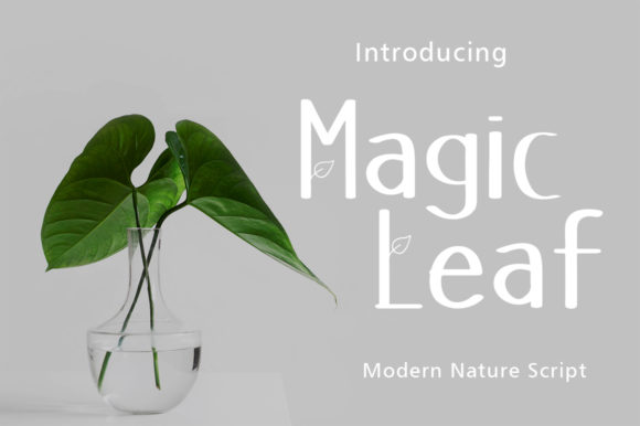 Choosing Magic Leaf for a Lifestyle Blog Redesign