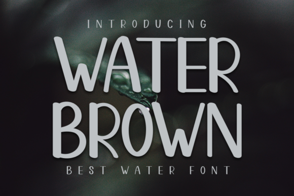 Water Brown: A Friendly Font for Digital Design